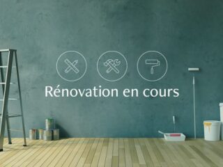 2-pieces-avec-vue-en-cours-de-renovation-collonge-1