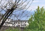 Bel appartement dans un quartier calme de Lausanne