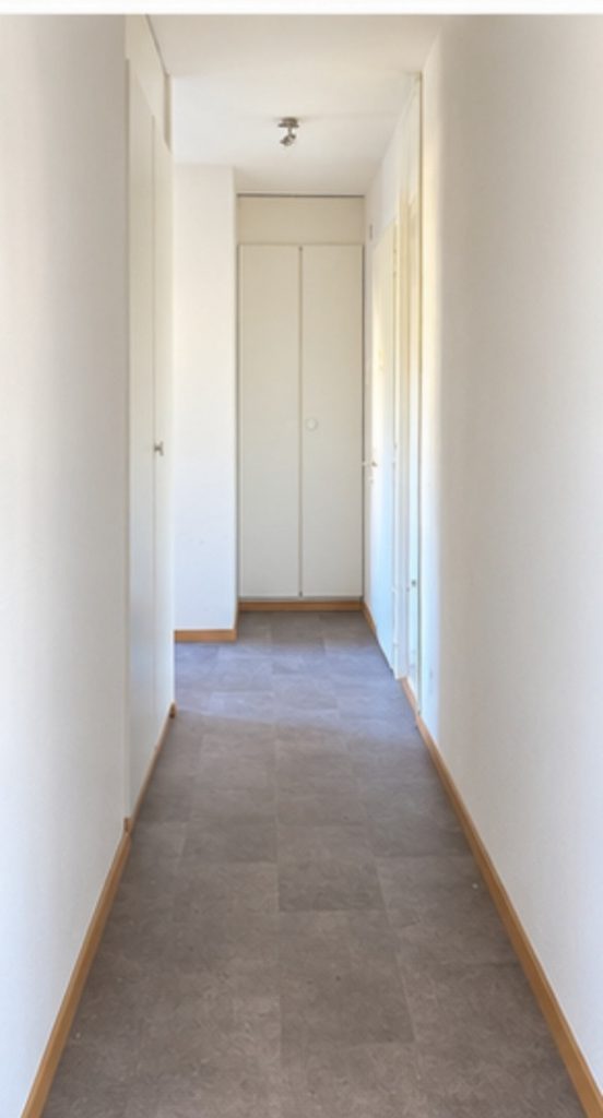 Charmant 3 pièces idéalement situé à Lausanne