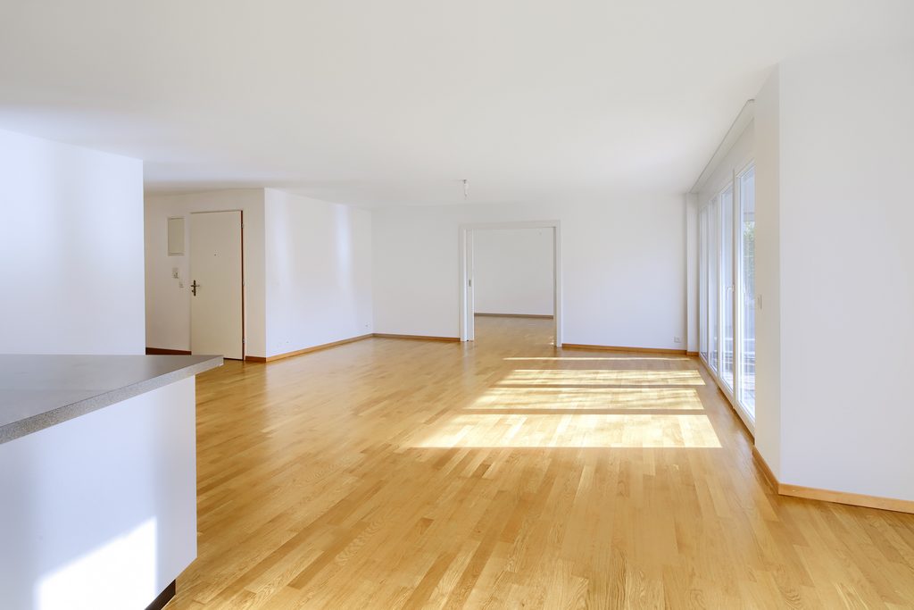 Grand logement de 6.5 pièces avec jardin