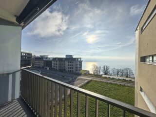 les-terrasses-de-lavaux-1