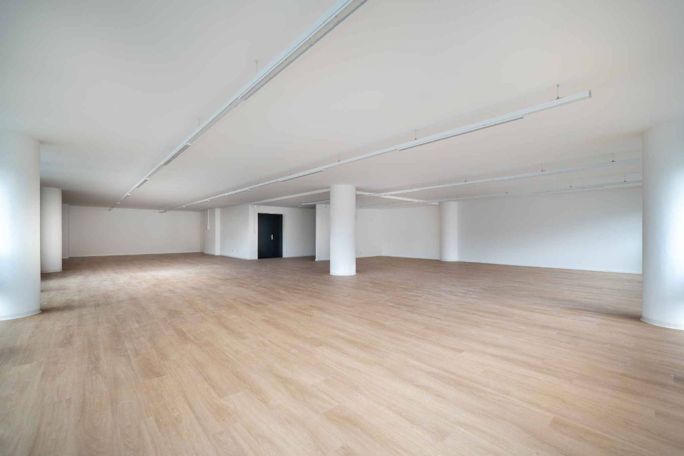 Locaux commerciaux modernes et entièrement rénovés de 129 m² et 230 m²