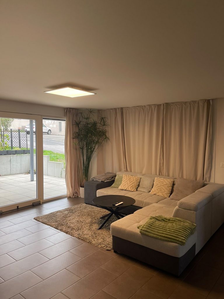 Magnifique appartement de 4.5 pièces à Gossens