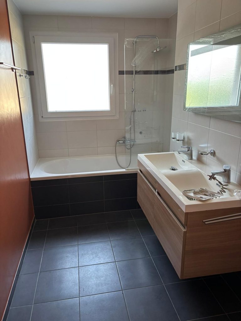Magnifique appartement de 4.5 pièces à Gossens