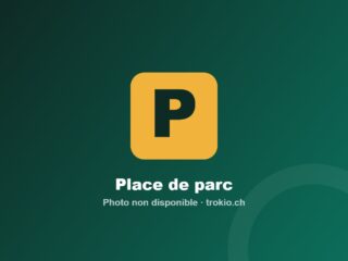 trokio-parking