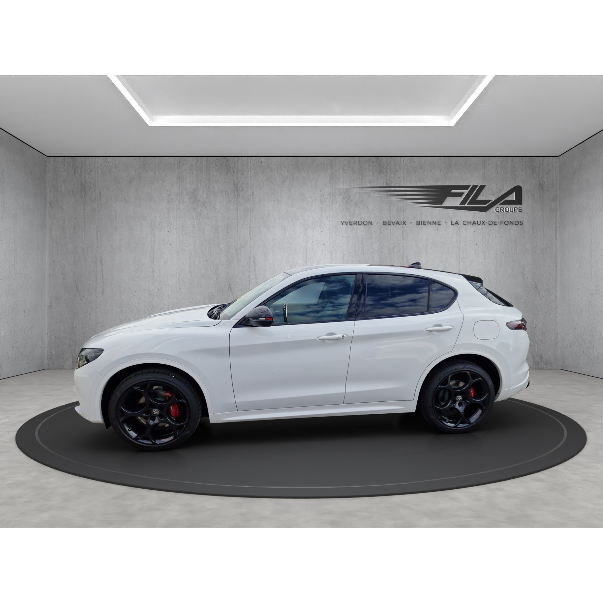 Alfa romeo STELVIO 2.0 Q4 280cv Tribut