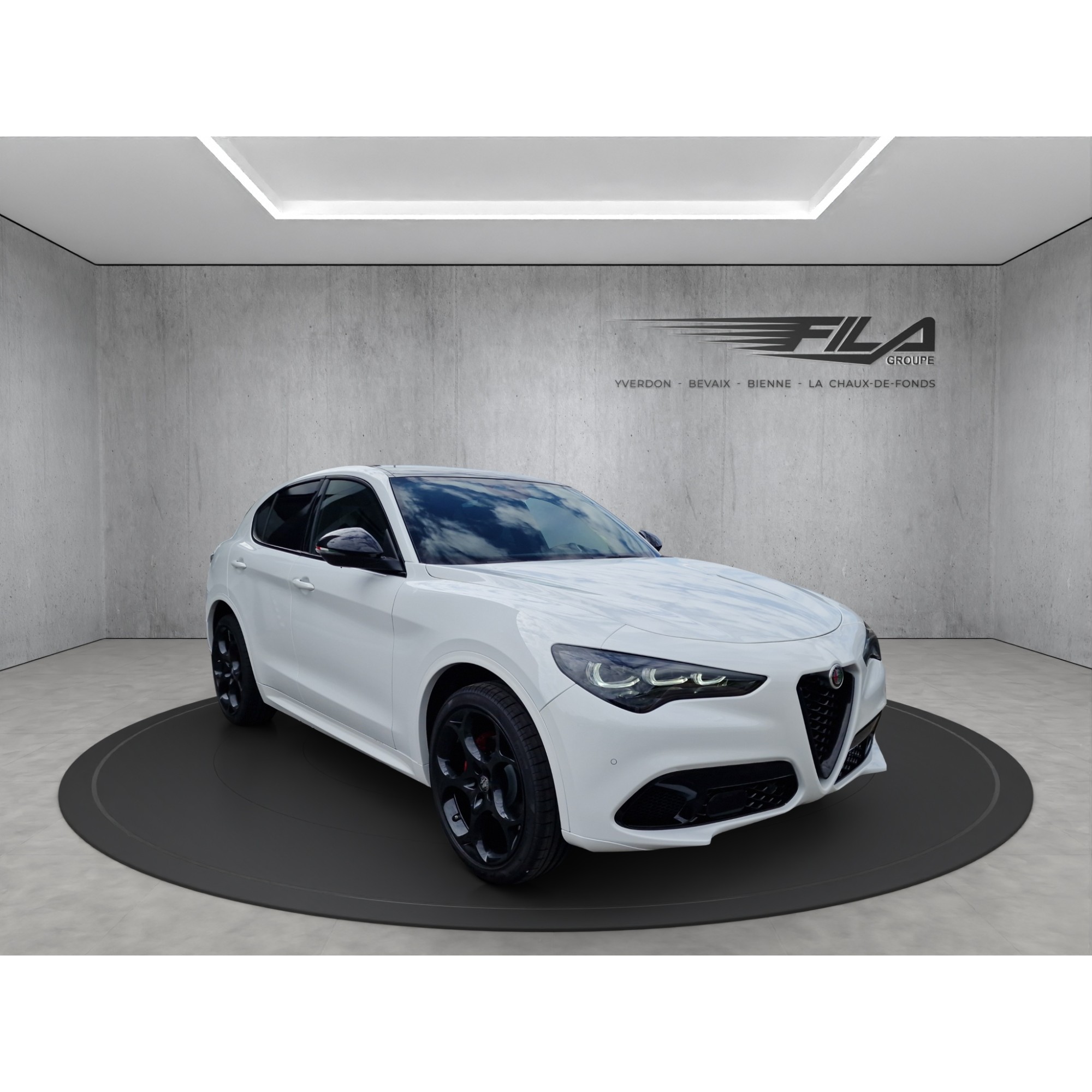 Alfa romeo STELVIO 2.0 Q4 280cv Tribut