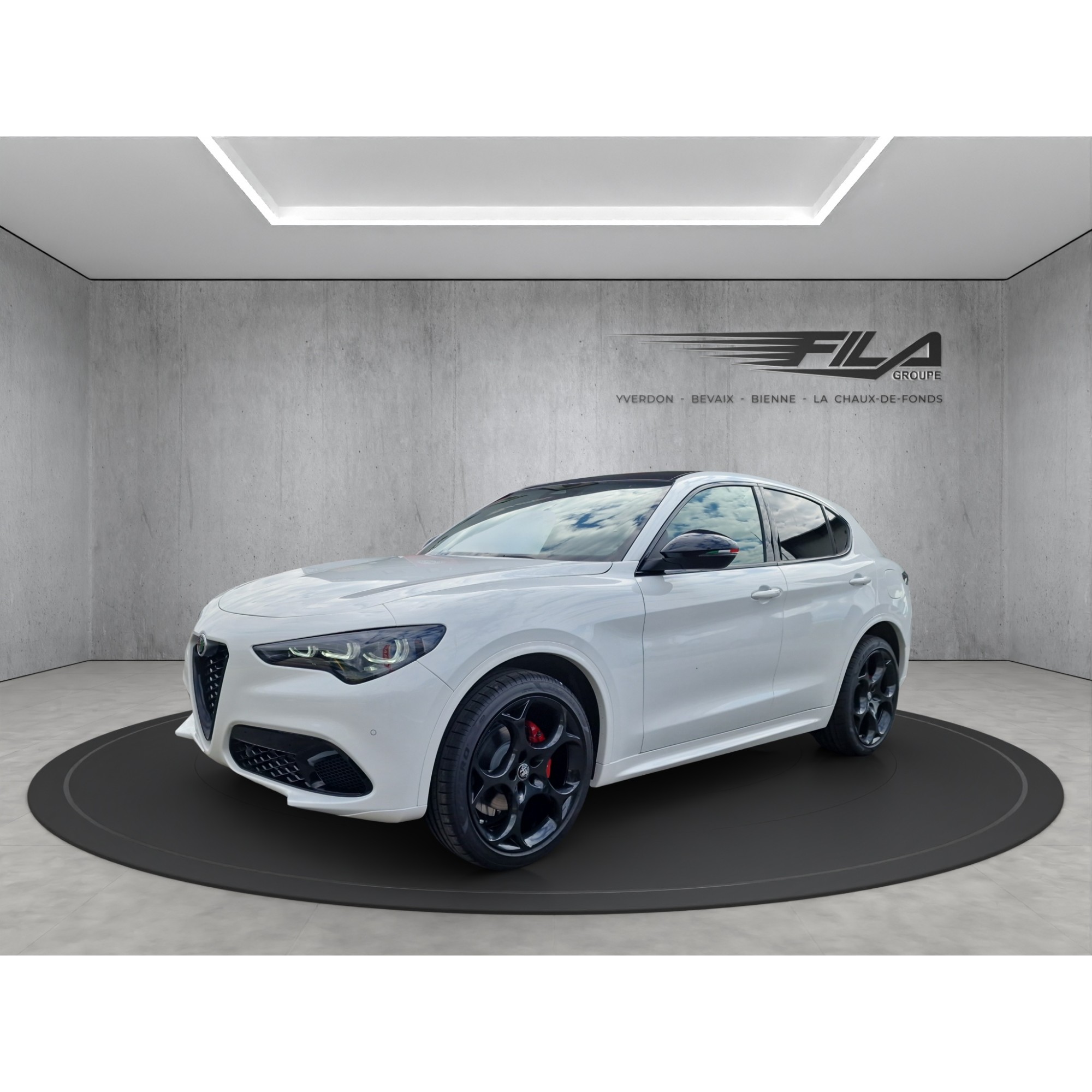 Alfa romeo STELVIO 2.0 Q4 280cv Tribut