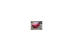 Alfa romeo TONALE 1.5 Hybrid 160cv Veloce Premiu
