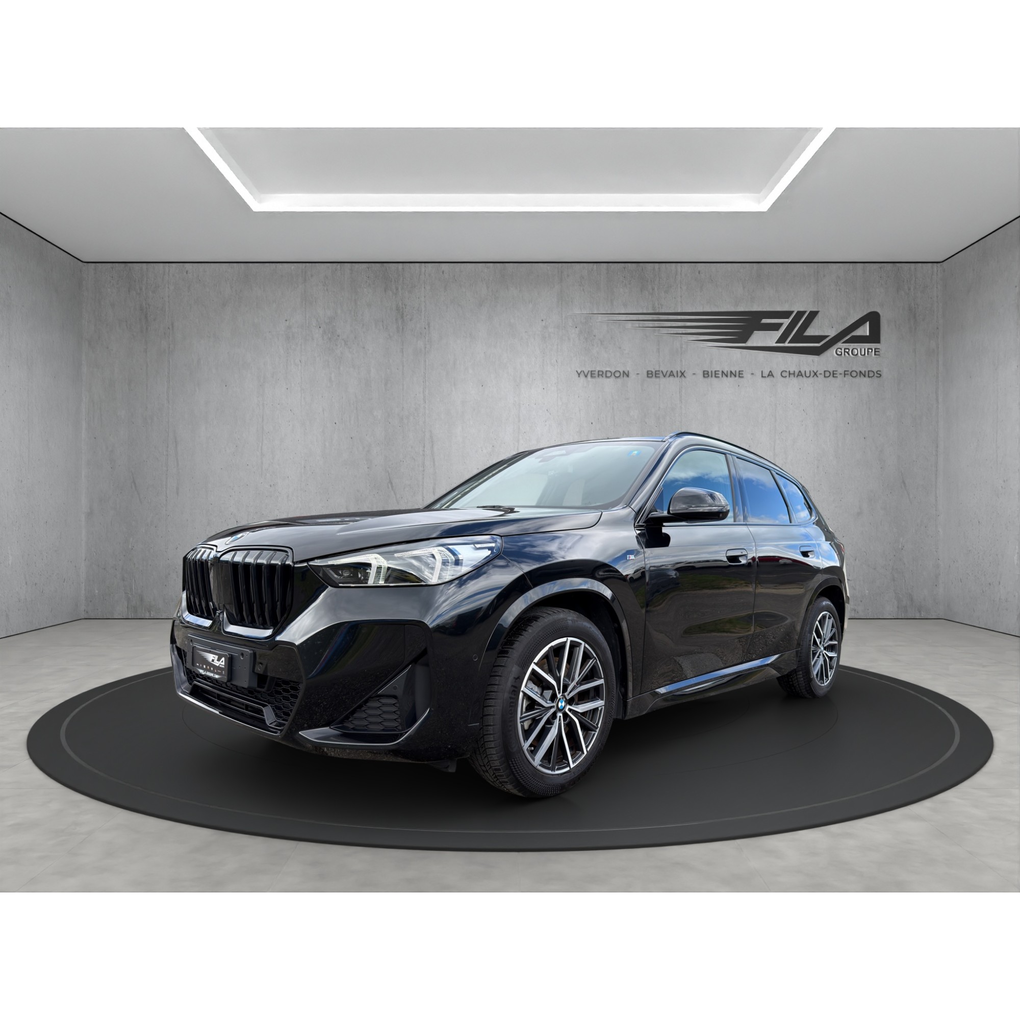 Bmw X1 U11 23i xDrive