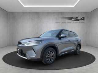 byd-atto-2-dm-i-boost