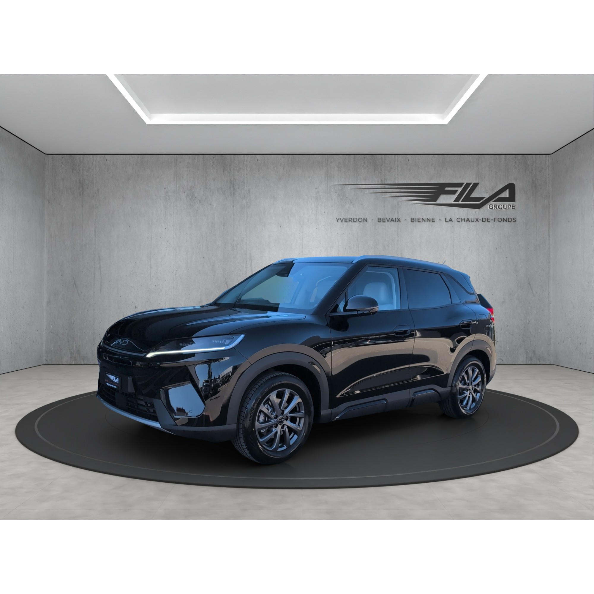 Byd ATTO 2 DM-i Boost