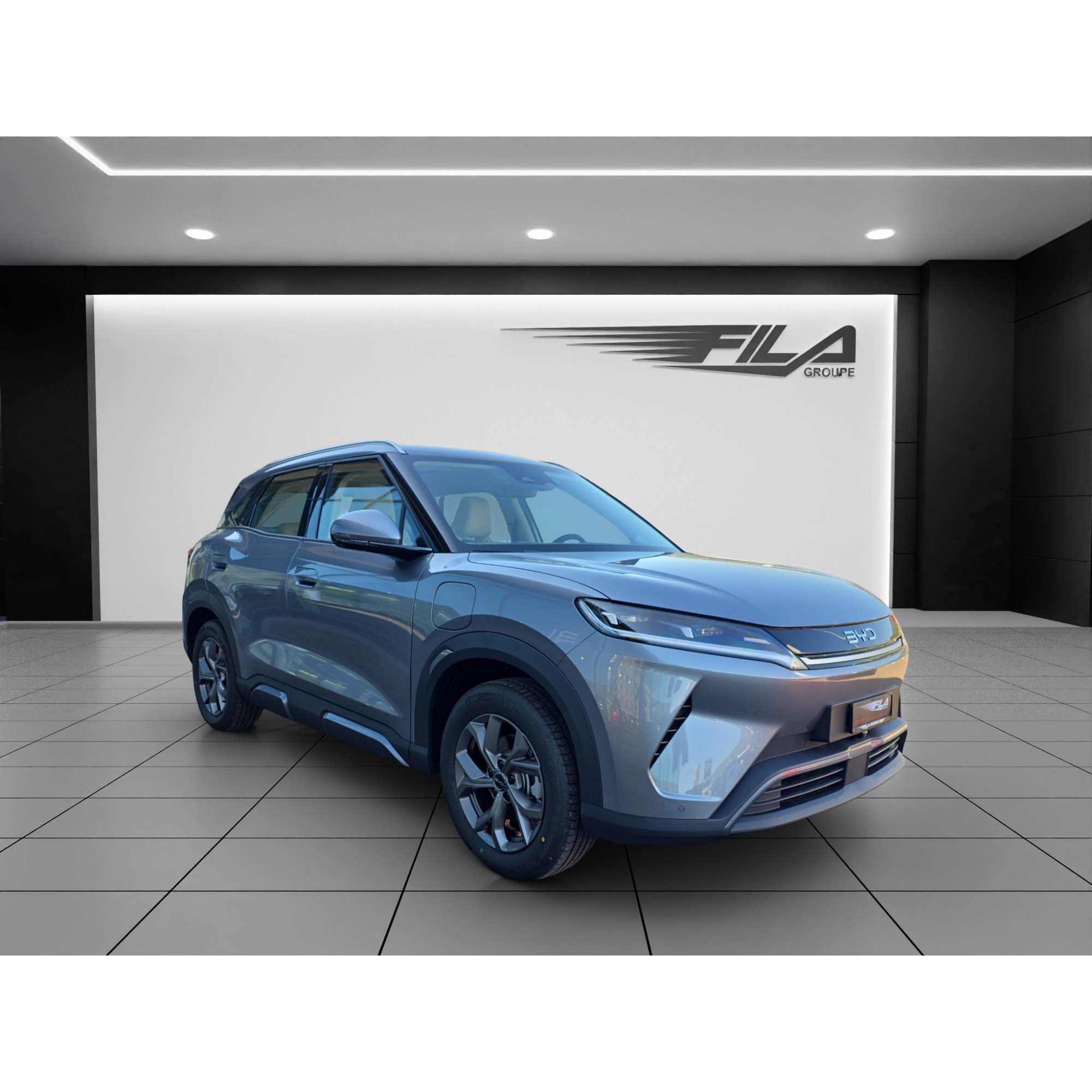 Byd ATTO 2 DM-i Boost