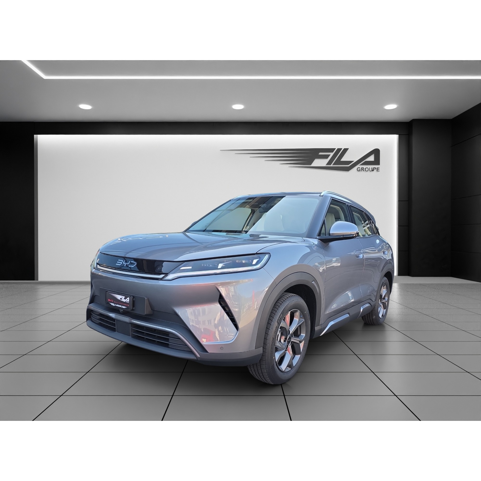 Byd ATTO 2 DM-i Boost