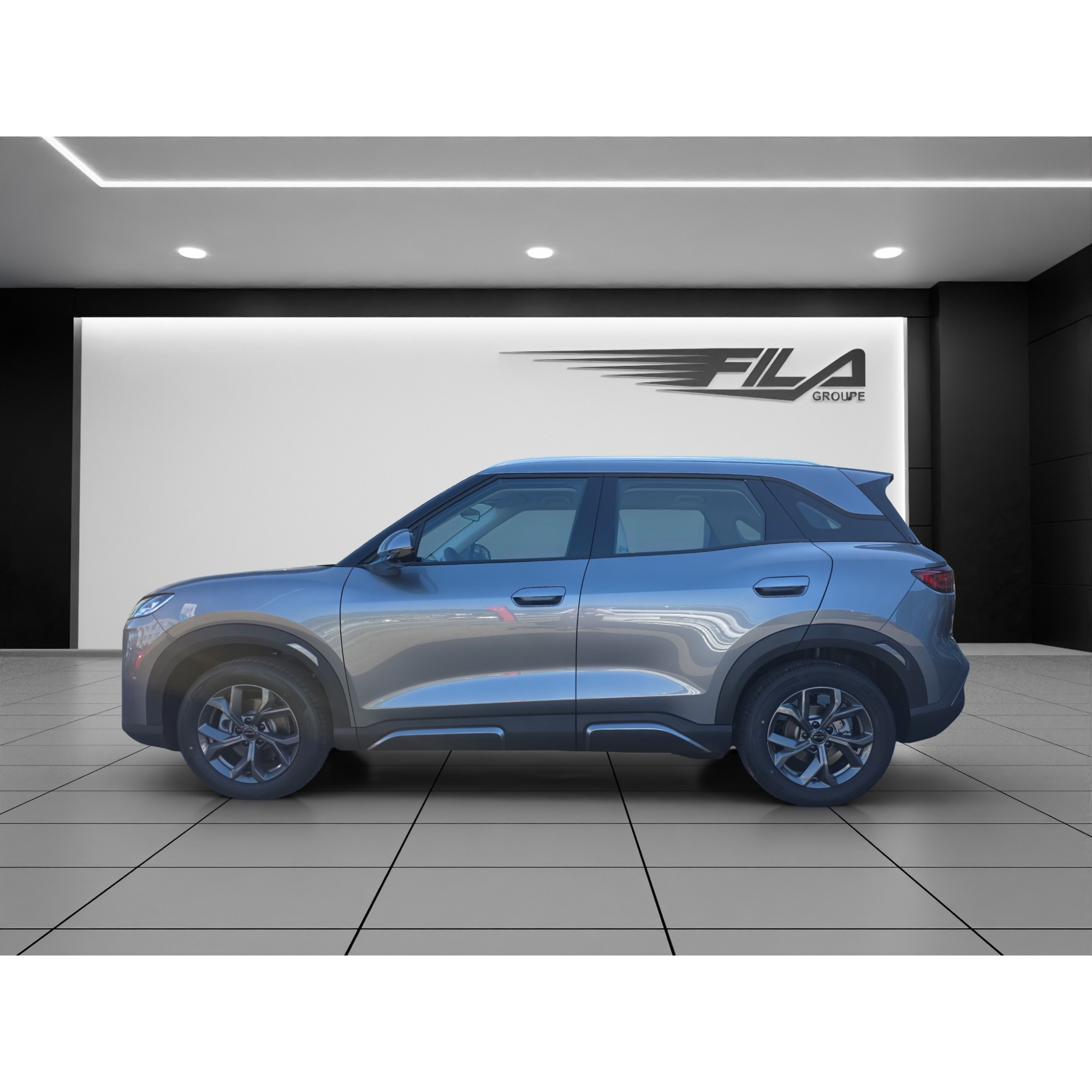 Byd ATTO 2 DM-i Boost