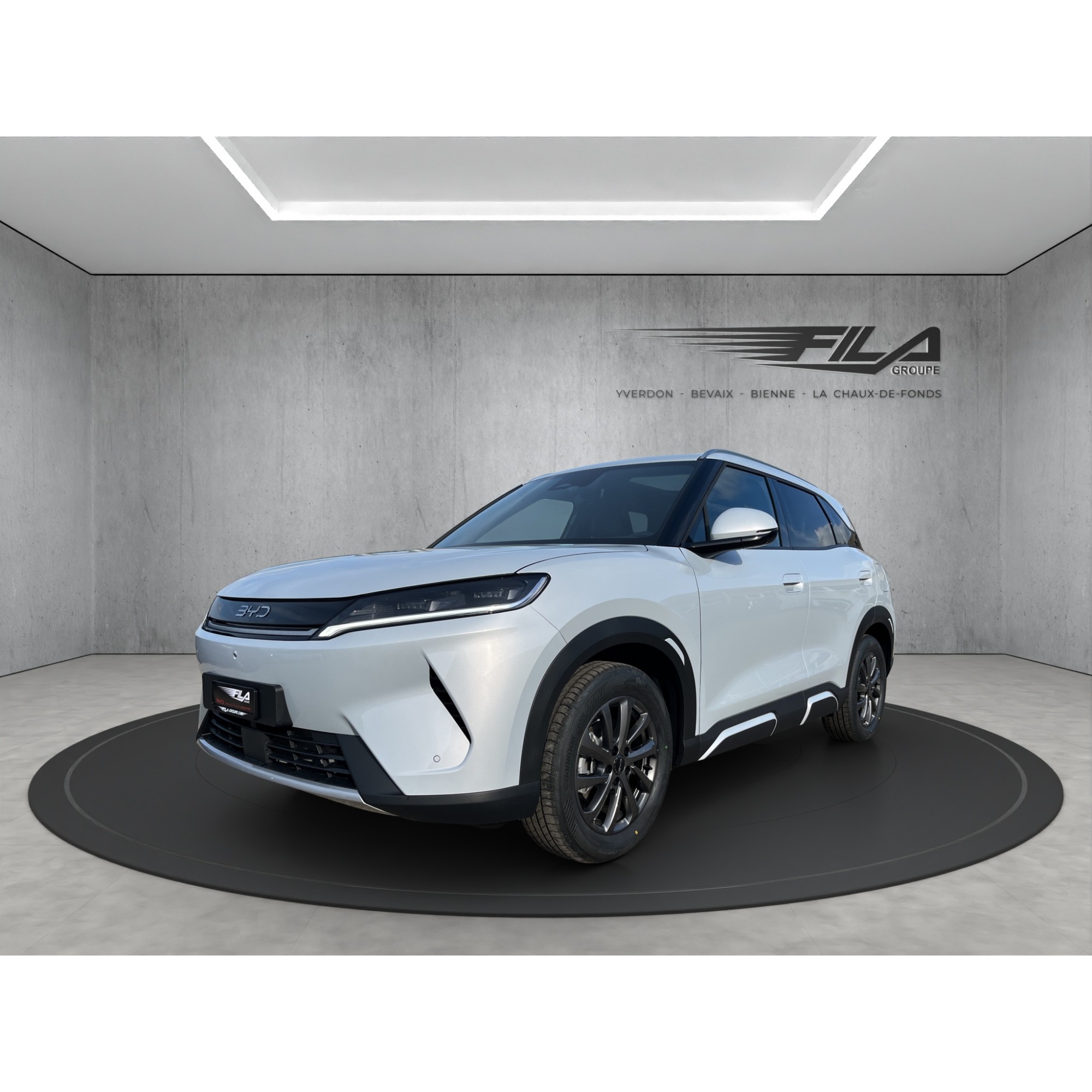 Byd ATTO 2 DM-i Boost