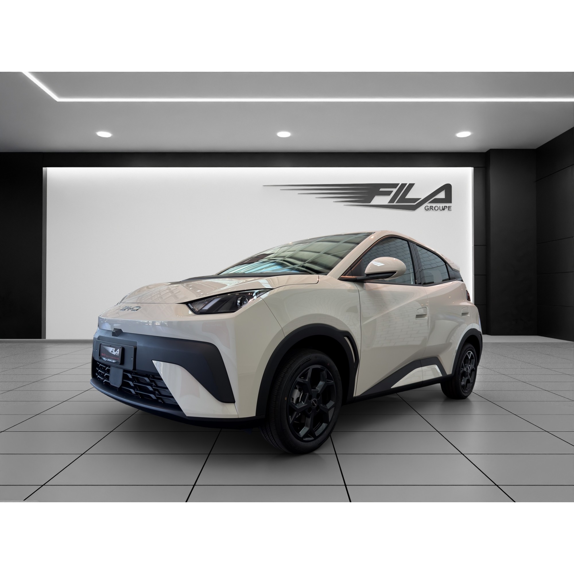 Byd DOLPHIN SURF Boost