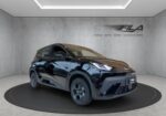 Byd DOLPHIN SURF Boost