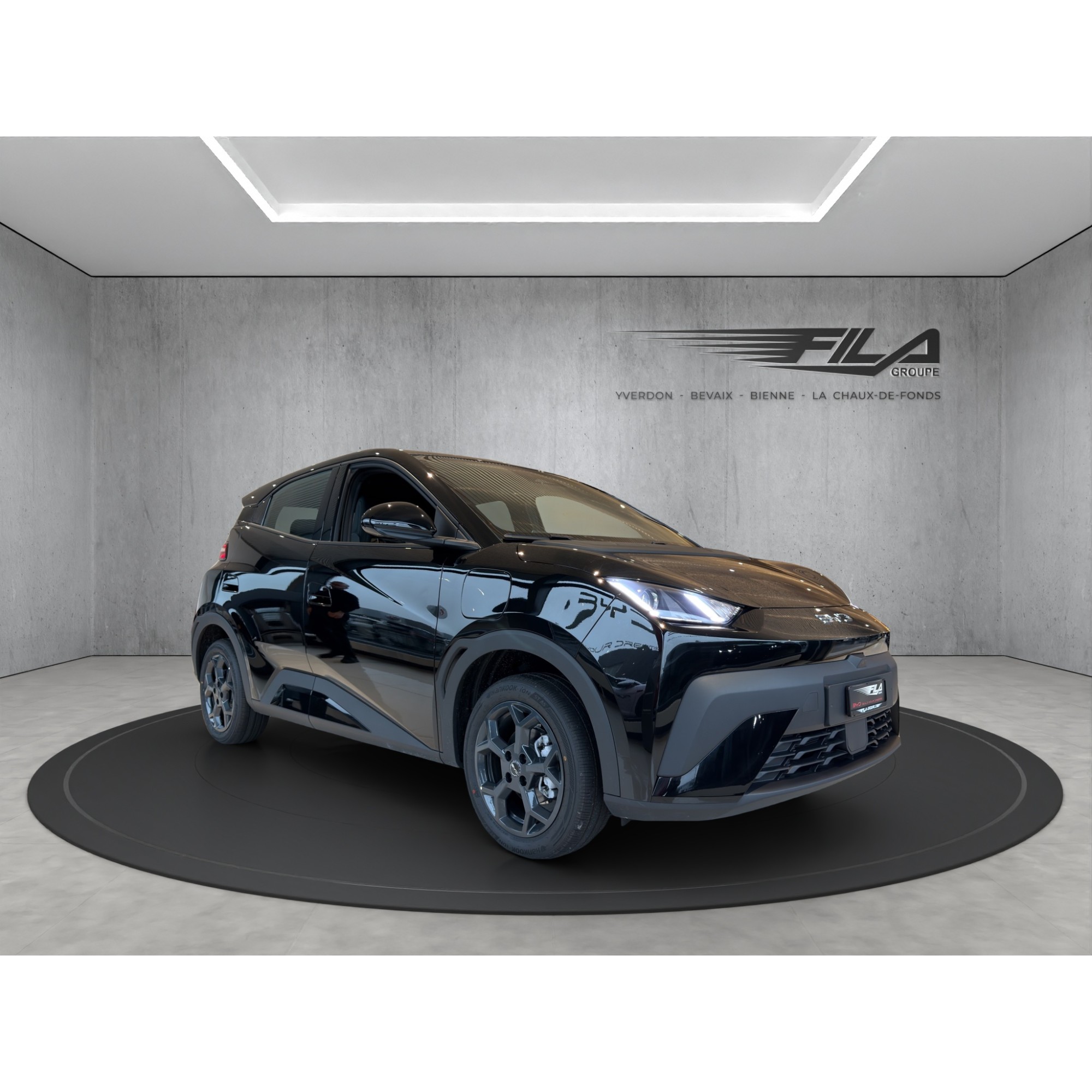 Byd DOLPHIN SURF Boost