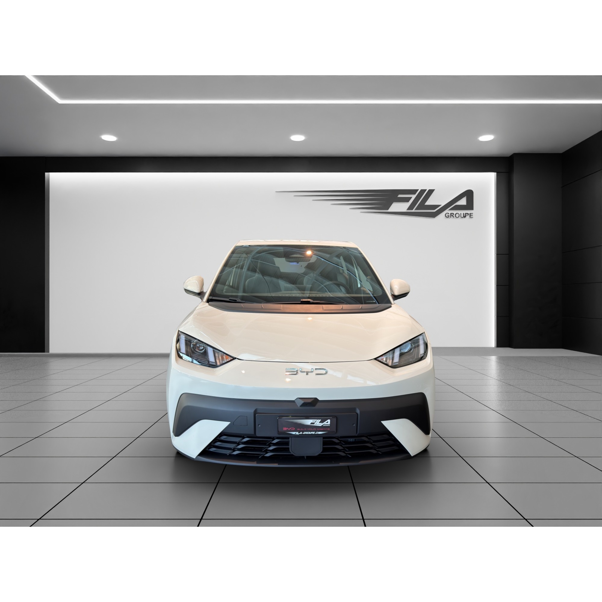 Byd DOLPHIN SURF Boost