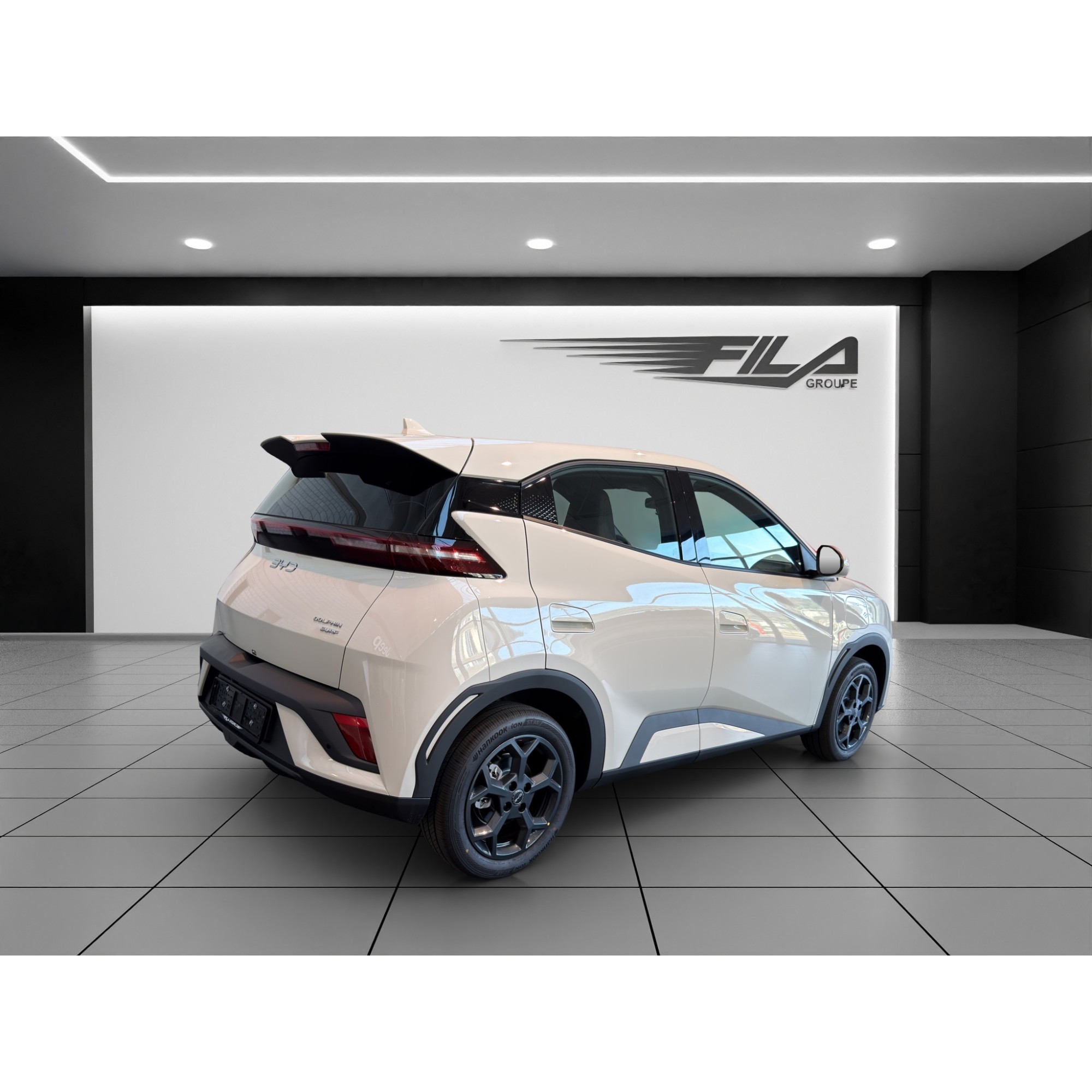 Byd DOLPHIN SURF Boost