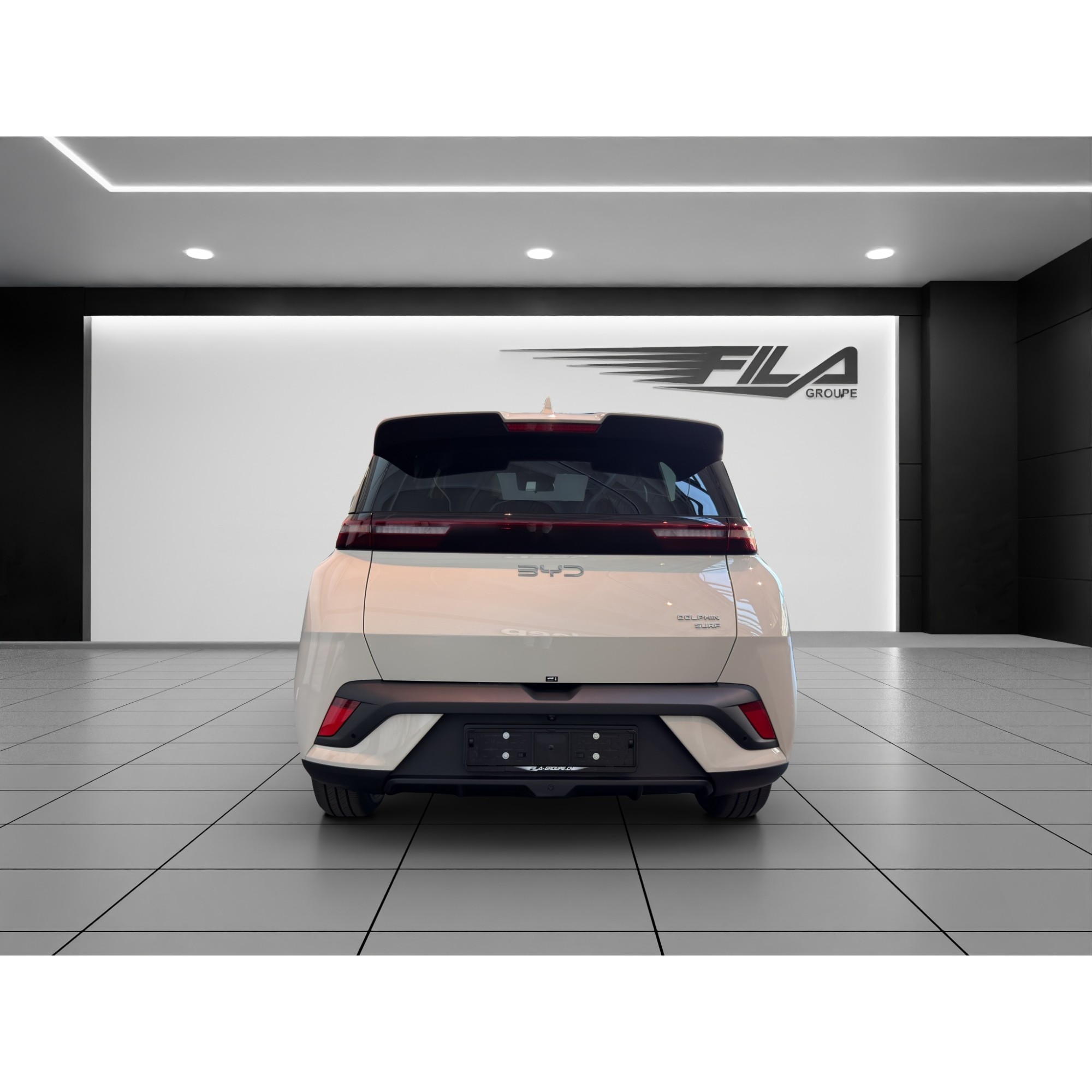 Byd DOLPHIN SURF Boost