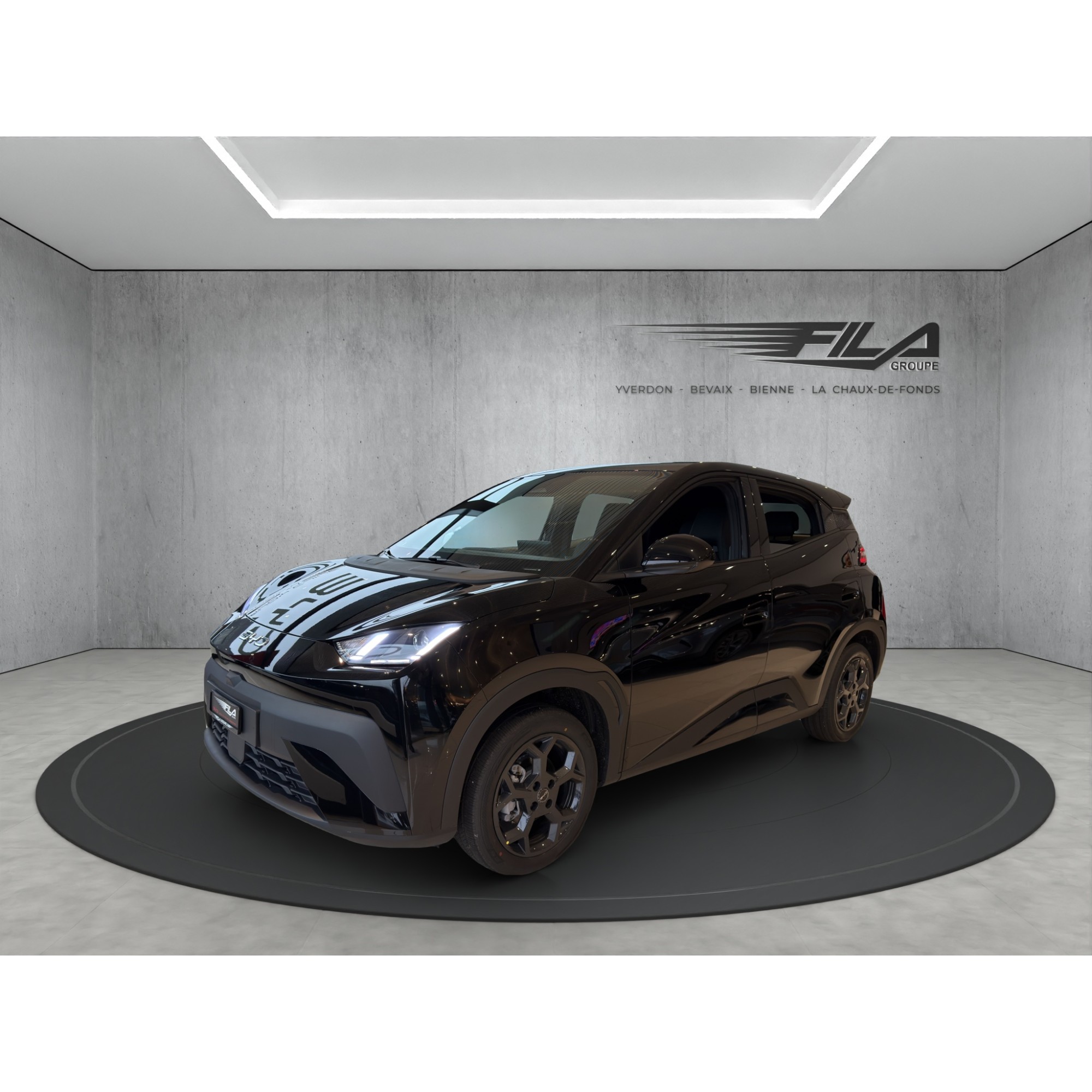 Byd DOLPHIN SURF Boost