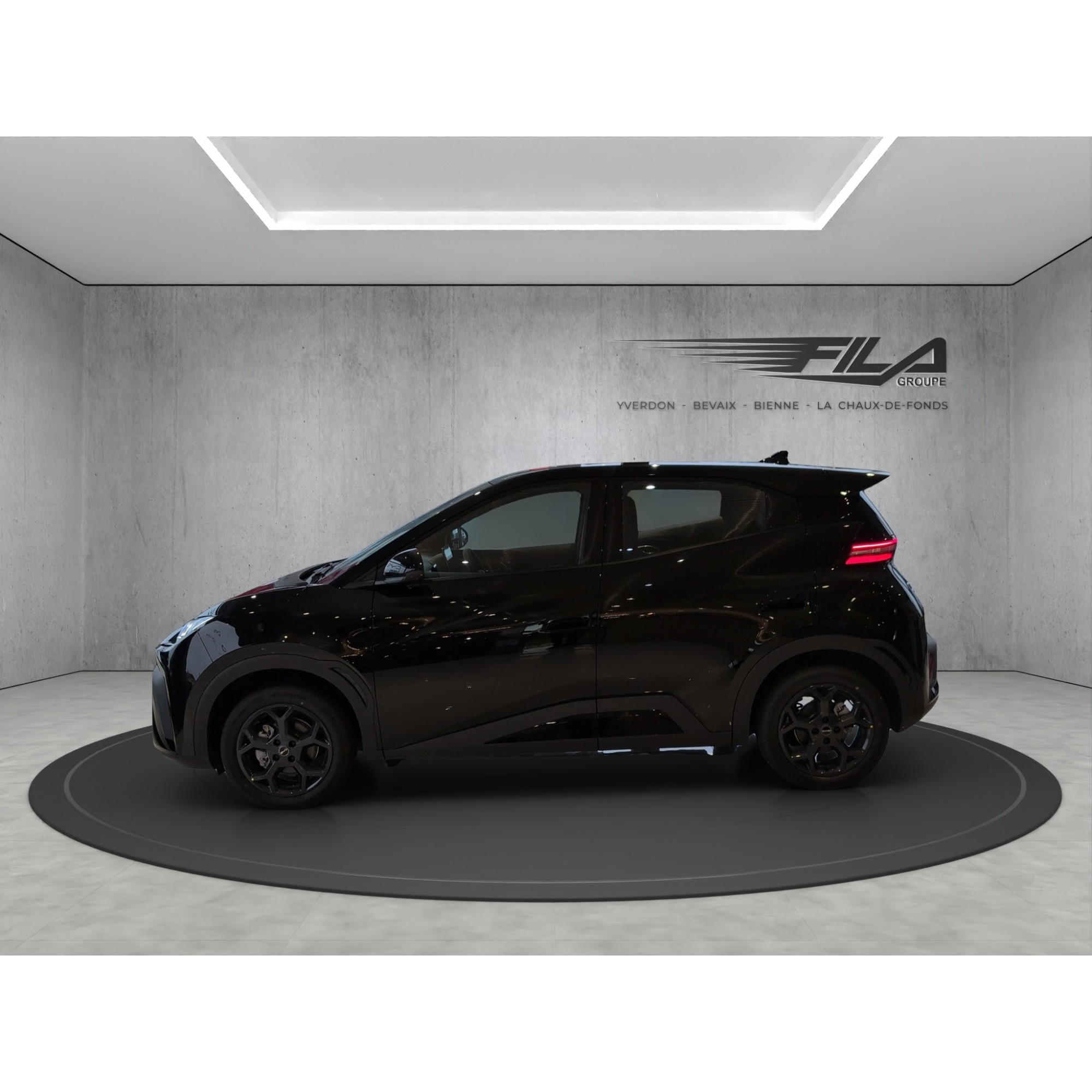 Byd DOLPHIN SURF Boost