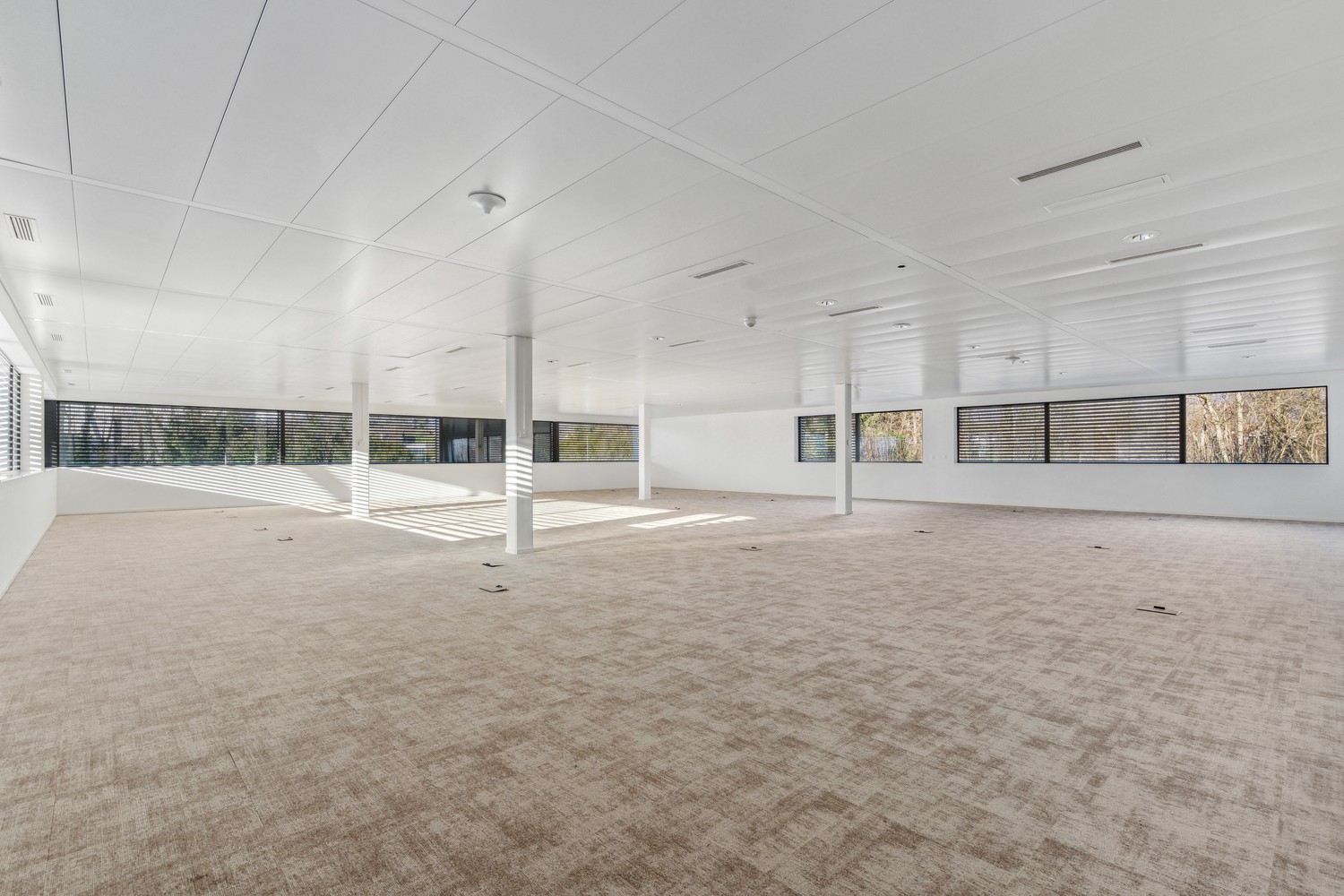 Bureau de 181 m² à louer à Terre Bonne