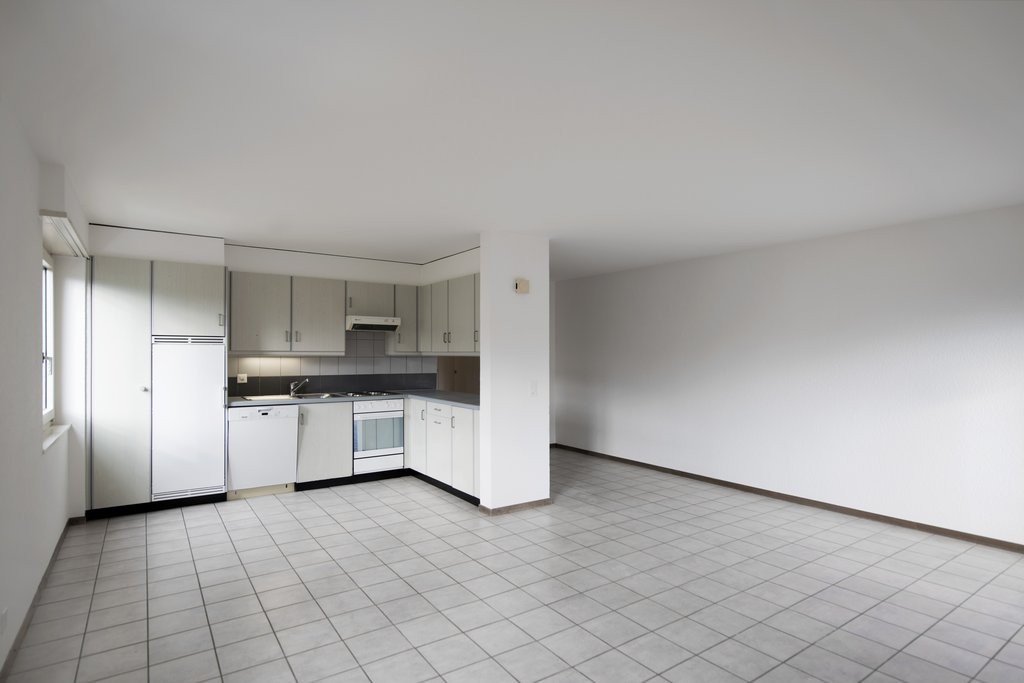 Grand 3.5 pièces dans un quartier calme en cours de rafraîssement